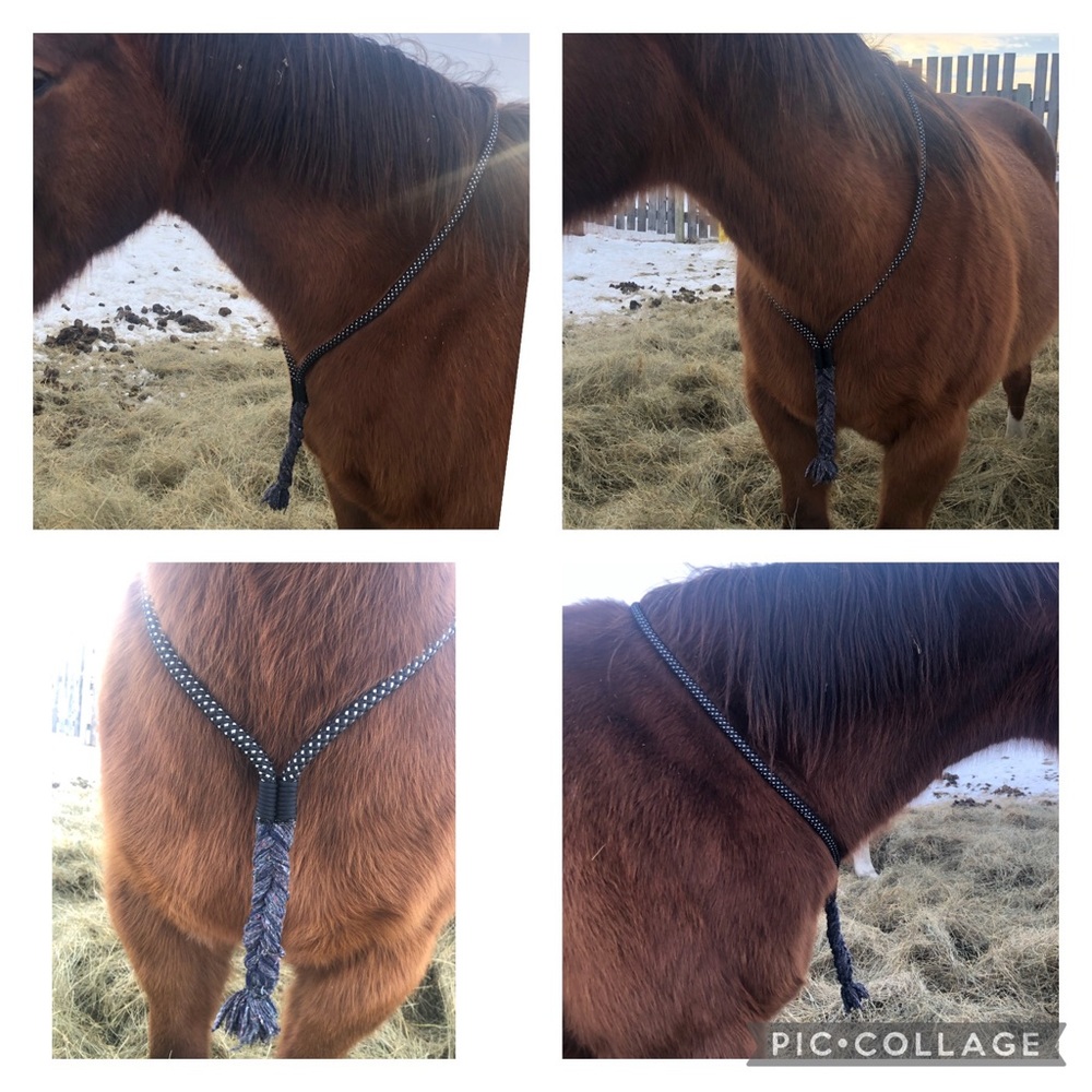 Horse neck rope (bitless and liberty)